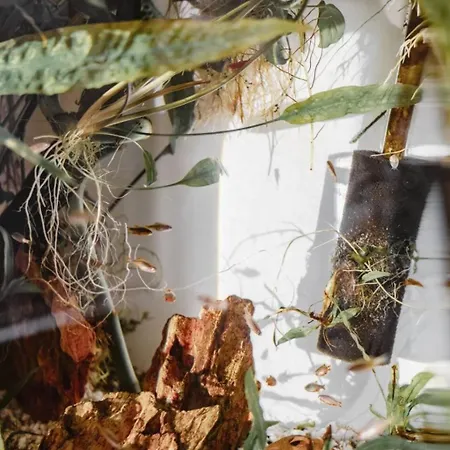 Modern With Balcony In Center A Hoh - Self Checkin Apartamento