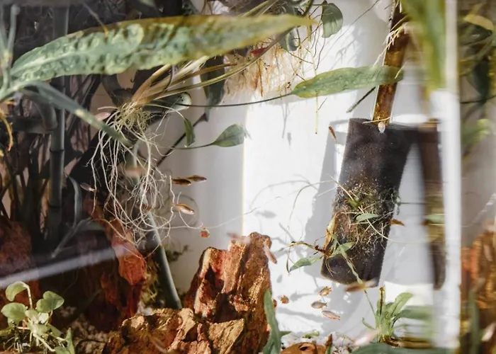 Modern With Balcony In Center A Hoh - Self Checkin Apartment