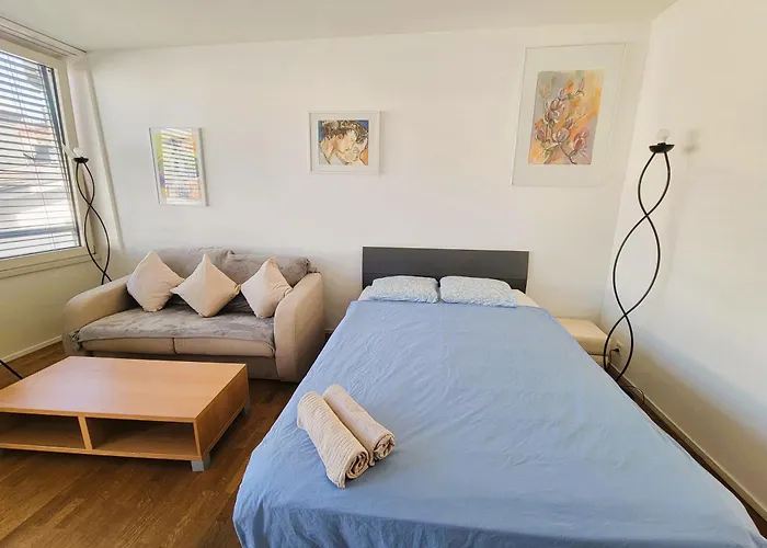 Modern With Balcony In Center A Hoh - Self Checkin Zurych